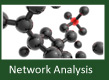 Network Analysis