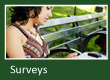 Surveys